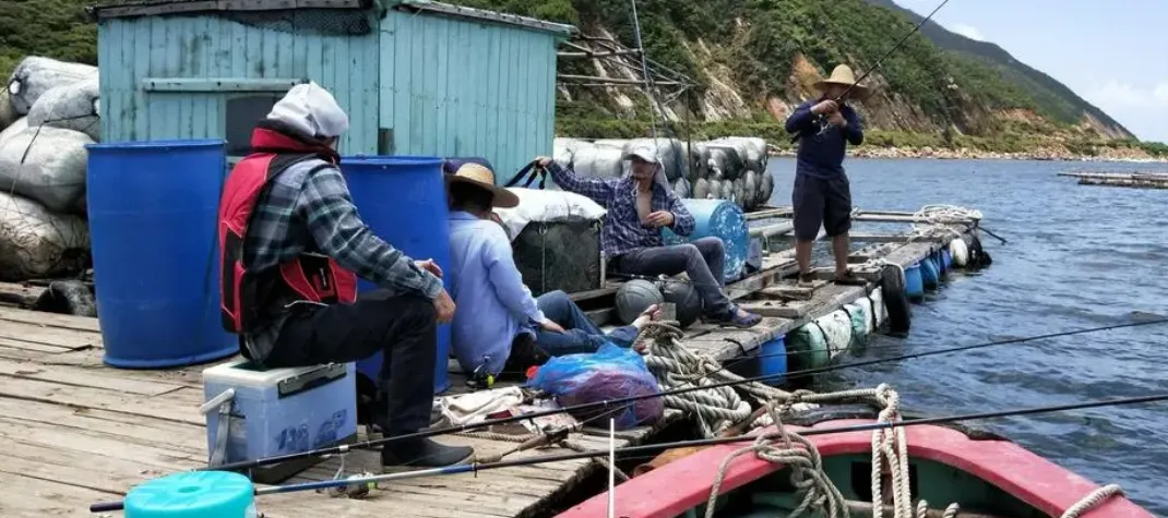鱼排筏钓：海洋旅游的新亮点与经济效益